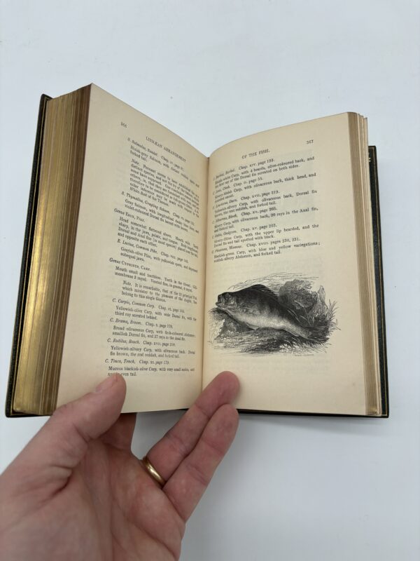 The Complete Angler - Walton & Cotton - 1844 Fine Angling Binding