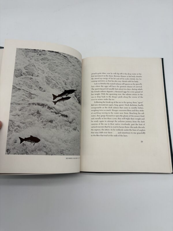 Leaping Silver - Lee Wulff - 1940 Signed Limited 1st Ed.