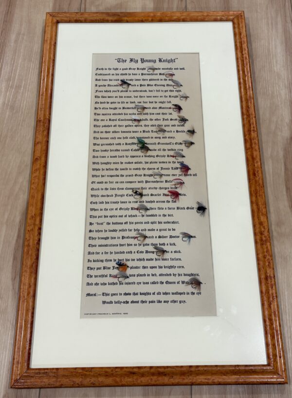 A Fly Young Knight - Framed Poem and Flies
