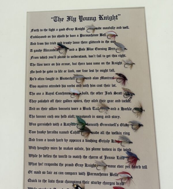 A Fly Young Knight - Framed Poem and Flies