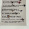 A Fly Young Knight - Framed Poem and Flies