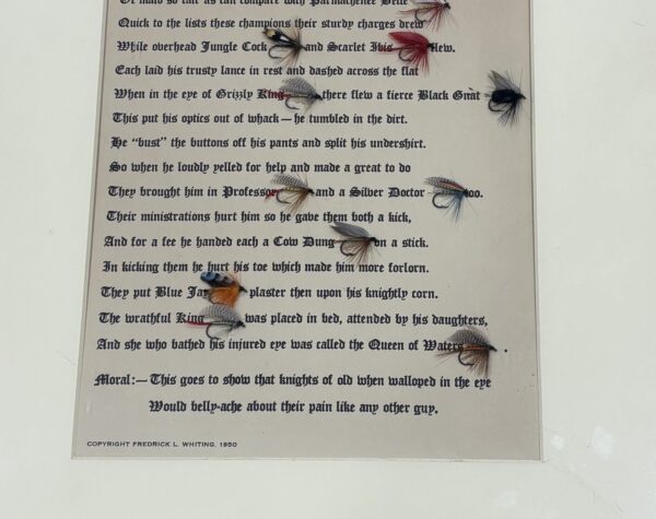 A Fly Young Knight - Framed Poem and Flies