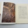 The Wind on Your Cheek - William Schaldach - 1972 Signed Ltd. 1st Ed. w/ Etching