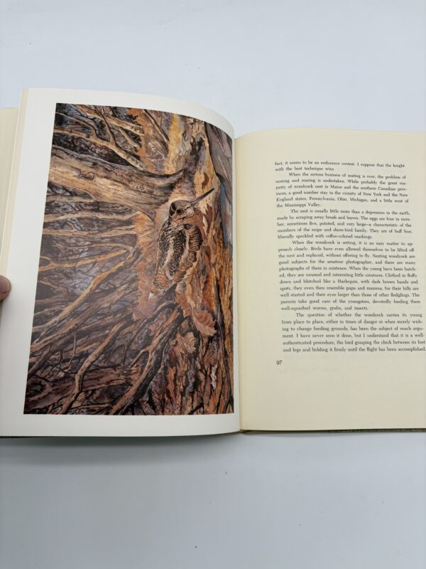 The Wind on Your Cheek - William Schaldach - 1972 Signed Ltd. 1st Ed. w/ Etching