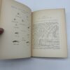 IMG_8860 Fishing in New England - Leslie Thompson - 1955 1st Ed. Signed by Sparse Grey Hackle