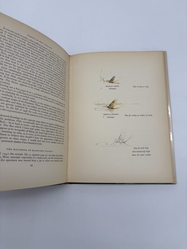 IMG_8861 Fishing in New England - Leslie Thompson - 1955 1st Ed. Signed by Sparse Grey Hackle