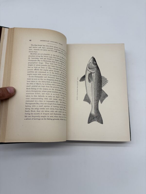 American Angler's Book - Thaddeus Norris - 1877 Memorial Edition