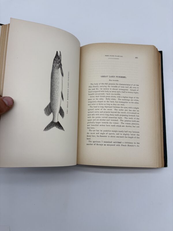 American Angler's Book - Thaddeus Norris - 1877 Memorial Edition