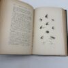 American Angler's Book - Thaddeus Norris - 1877 Memorial Edition