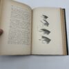 American Angler's Book - Thaddeus Norris - 1877 Memorial Edition
