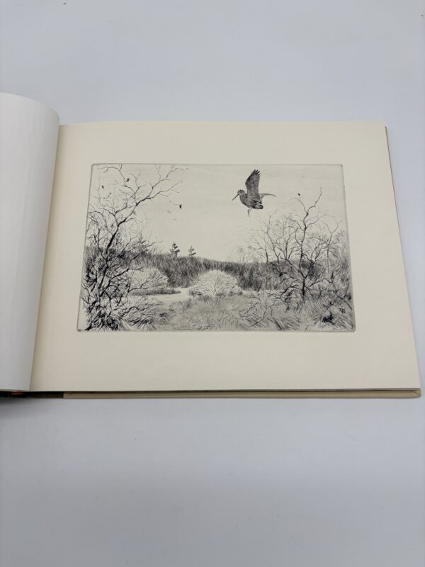 IMG_8928 A. Lassell Ripley: Sporting Etchings - Dana Lamb - 1970 Signed 1st Ed. w/ Darbee Provenance